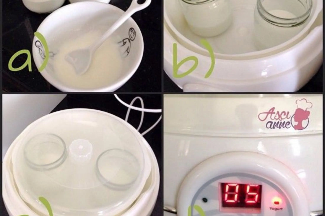 Devam Sütüyle veya Formül Sütle Yoğurt Mayalama