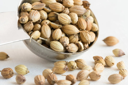 Kişnişli Fasulye Çorbası (8+ Ay)