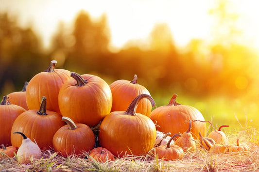 Bal kabağının Bir Meyve Olduğunu Biliyor Muydunuz?