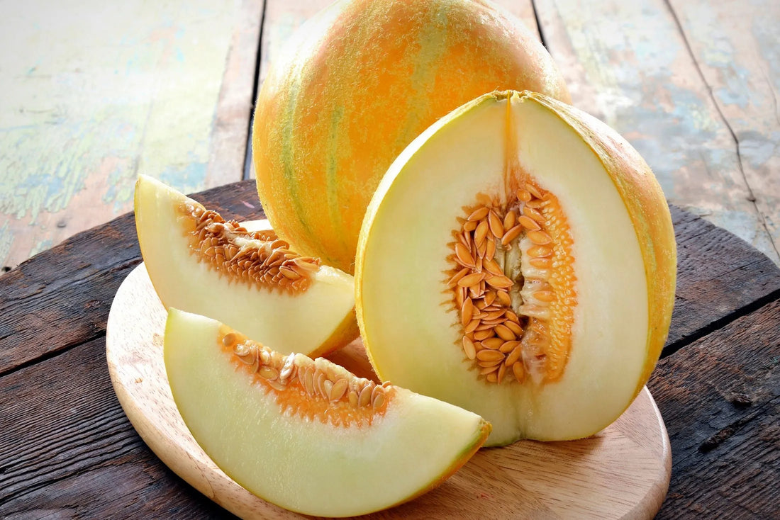 Fantastik Kavun (8+ Ay)