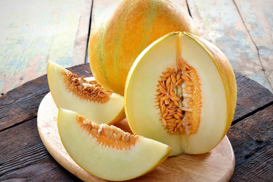 Fantastik Kavun (8+ Ay)