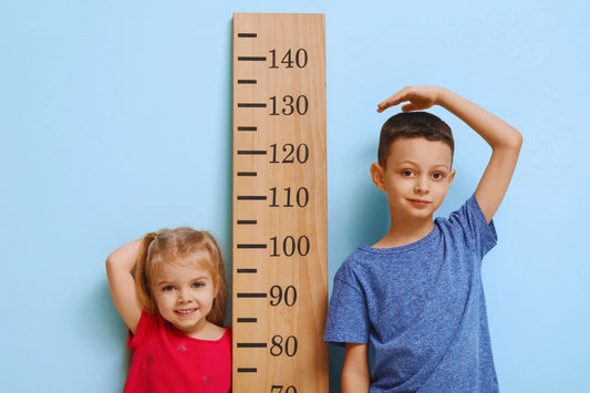 Persentil Tablosu Nedir, Nasıl Hesaplanır?